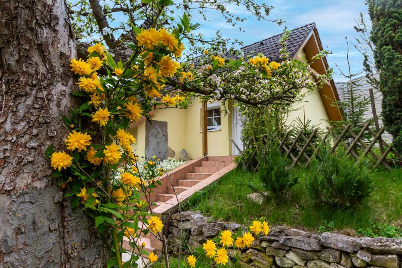 Apartmanovy Dum Vilemovice Экстерьер фото